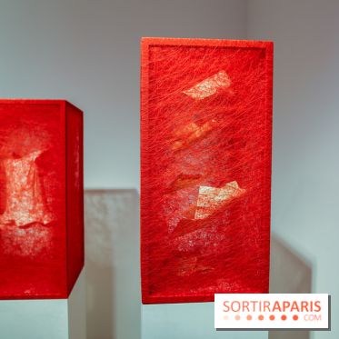 Expo Memory Under The Skin de Chiharu Shiota à Paris, nos photos - IMG 0128