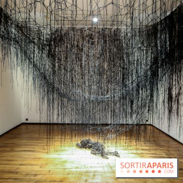 Expo Memory Under The Skin de Chiharu Shiota à Paris, nos photos - IMG 0154