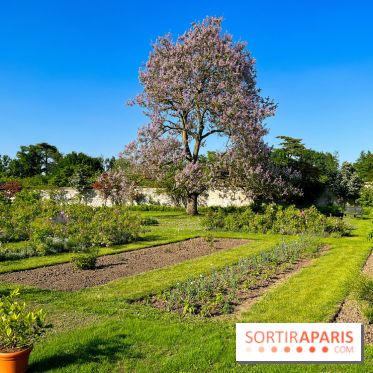 Le Jardin du Parfumeur à Versailles