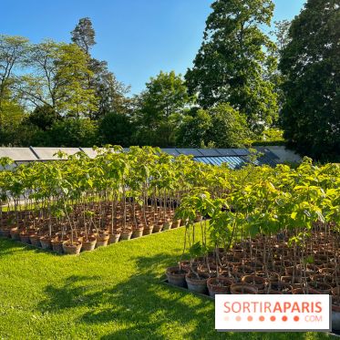 Le Jardin du Parfumeur à Versailles
