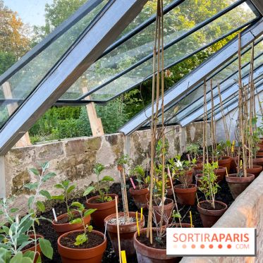 Le Jardin du Parfumeur à Versailles
