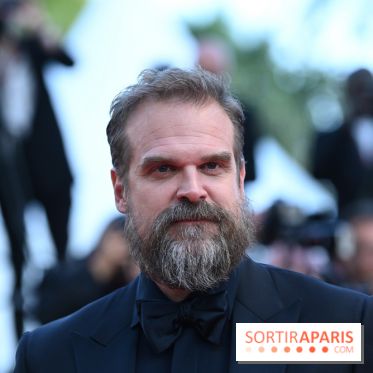 ©Rachid Bellak - David Harbour