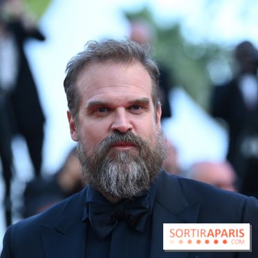 ©Rachid Bellak - David Harbour