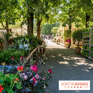 Jardins jardin au Tuileries 2023 - photos  -  A7C4757