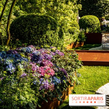 Jardins jardin au Tuileries 2023 - photos  -  A7C4745