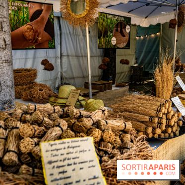Jardins jardin au Tuileries 2023 - photos  -  A7C4715