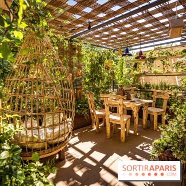 Jardins jardin au Tuileries 2023 - photos  -  A7C4683