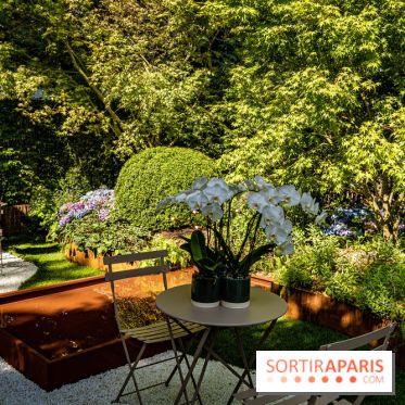 Jardins jardin au Tuileries 2023 - photos  -  A7C4642