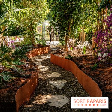 Jardins jardin au Tuileries 2023 - photos  -  A7C4640