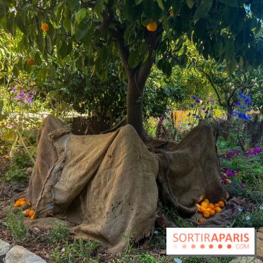 Chanel à Jardins, Jardin 2023 - image00011