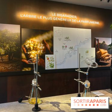 Chanel à Jardins, Jardin 2023 - image00020