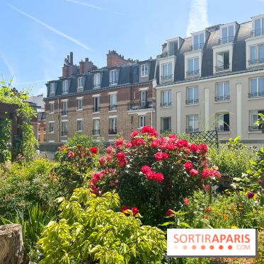 Jardins partagés (toit Beaugrenelle) - image00001