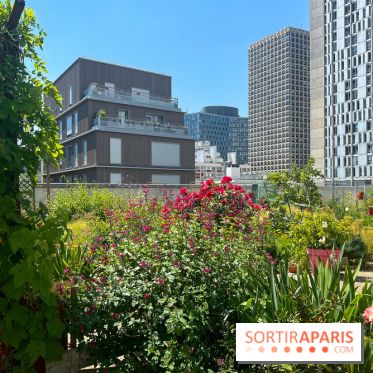 Jardins partagés (toit Beaugrenelle) - image00004