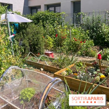 Jardins partagés (toit Beaugrenelle) - image00005