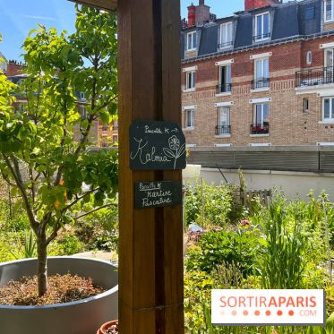 Jardins partagés (toit Beaugrenelle) - image00007