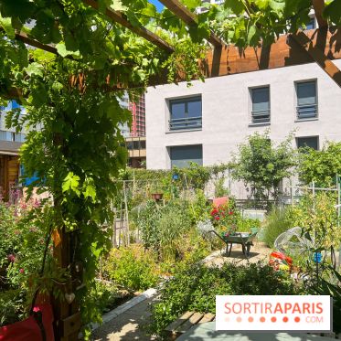 Jardins partagés (toit Beaugrenelle) - image00008