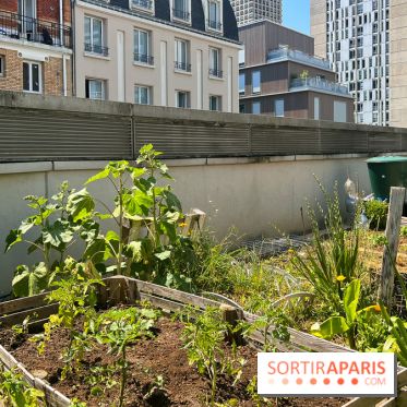 Jardins partagés (toit Beaugrenelle) - image00010