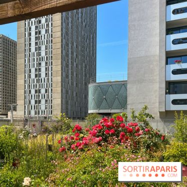 Jardins partagés (toit Beaugrenelle) - image00012