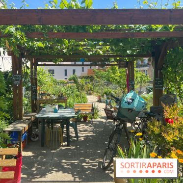 Jardins partagés (toit Beaugrenelle) - image00013