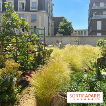 Jardins partagés (toit Beaugrenelle) - image00014