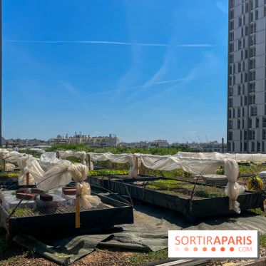 Les toits de Beaugrenelle - image00001