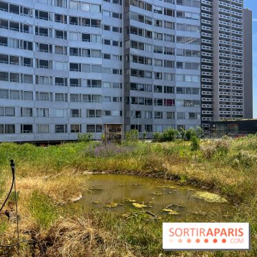 Les toits de Beaugrenelle - image00005