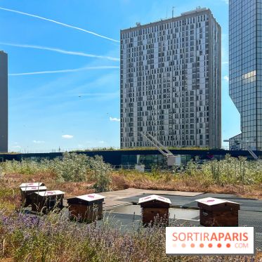 Les toits de Beaugrenelle - image00009