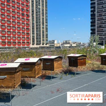 Les toits de Beaugrenelle - image00010