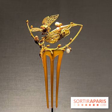 Exposition  - image00002