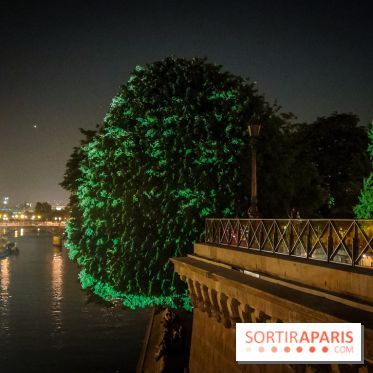 Nuit Blanche 2023 à Paris et en Ile-de-France : tout le programme de la soirée - square du vert-galant Résonance géométrique
