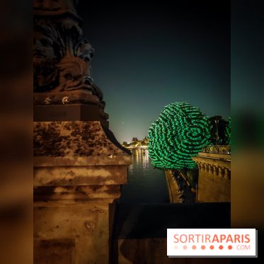 Nuit Blanche 2023 : des projections lumineuses magiques au Square du Vert Galant de l'Île de la Cité