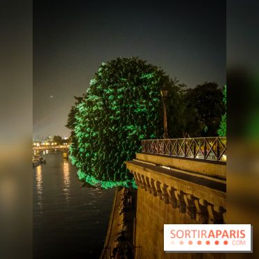 Nuit Blanche 2023 : des projections lumineuses magiques au Square du Vert Galant de l'Île de la Cité