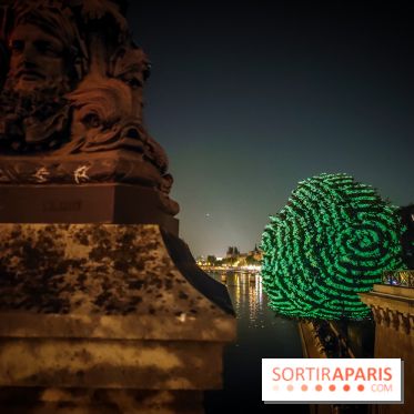 Nuit Blanche 2023 : des projections lumineuses magiques au Square du Vert Galant de l'Île de la Cité - IMG20230603001252