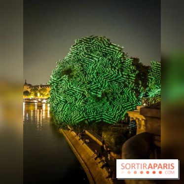 Nuit Blanche 2023 : des projections lumineuses magiques au Square du Vert Galant de l'Île de la Cité - IMG20230603001620