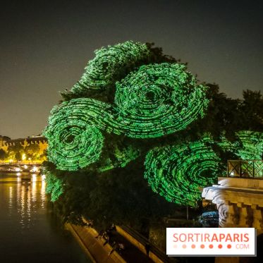 Nuit Blanche 2023 : des projections lumineuses magiques au Square du Vert Galant de l'Île de la Cité