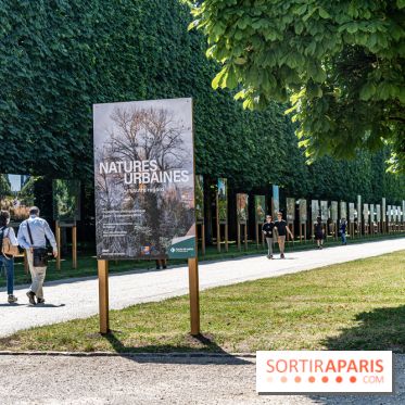 Le Gué, l'installation éphémère du Domaine de Sceaux qui fait marcher sur l'eau