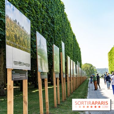 Le Gué, l'installation éphémère du Domaine de Sceaux qui fait marcher sur l'eau