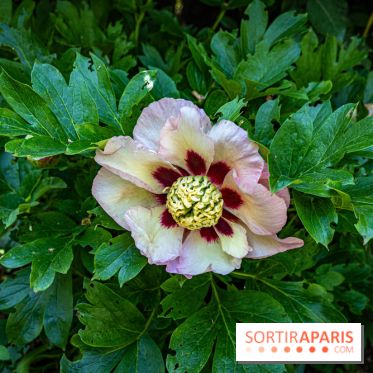 Les Jardins de Sonja au Perray-en-Yvelines