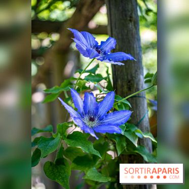 Les Jardins de Sonja au Perray-en-Yvelines