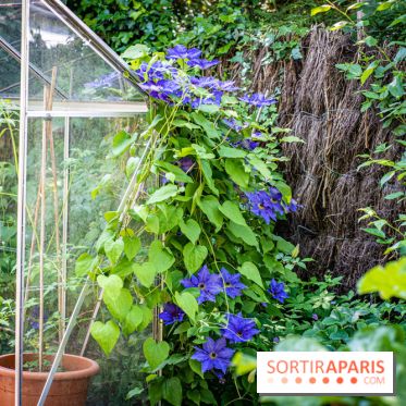 Les Jardins de Sonja au Perray-en-Yvelines -  A7C5016