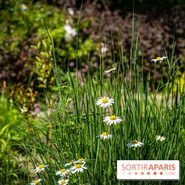 Les Jardins de Sonja au Perray-en-Yvelines
