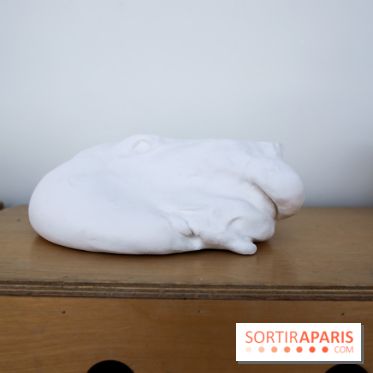 De(s)rives 2023 : nos photos de l'expo insolite au gymnase Huyghens