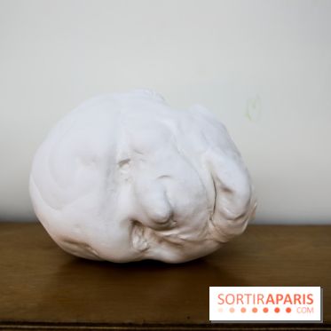 De(s)rives 2023 : nos photos de l'expo insolite au gymnase Huyghens