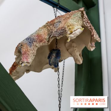 De(s)rives 2023 : nos photos de l'expo insolite au gymnase Huyghens