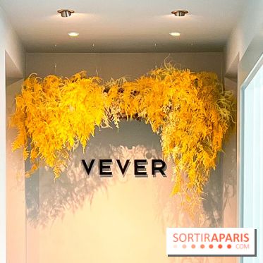 Exposition Vever - (50)