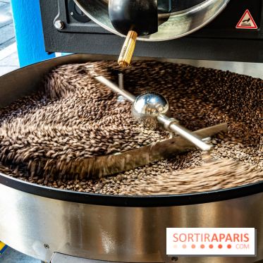 Blondie - coffee shop - torréfacteur  -  A7C5671