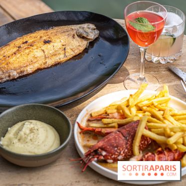 Perchoir Y, restaurant par Guillaume Sanchez et guinguette en forêt -  A7C5801