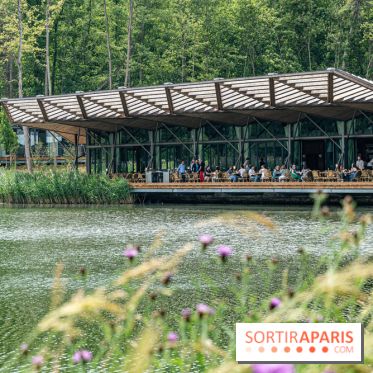 Perchoir Y, restaurant par Guillaume Sanchez et guinguette en forêt -  A7C5841