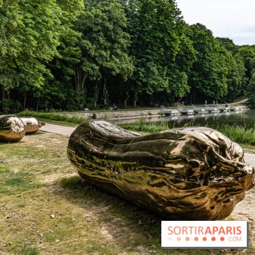 Perchoir Y, restaurant par Guillaume Sanchez et guinguette en forêt -  A7C5849