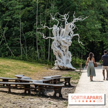 Perchoir Y, restaurant par Guillaume Sanchez et guinguette en forêt -  A7C5865